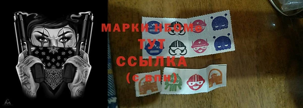 молекула духа Богданович