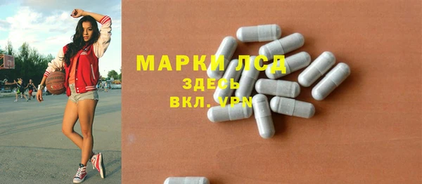 молекула духа Богданович