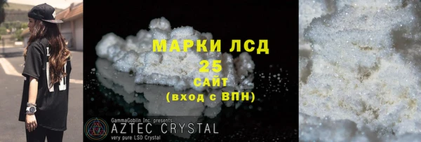молекула духа Богданович