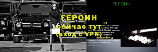 молекула духа Богданович