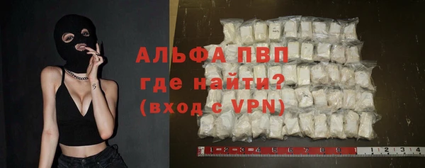 молекула духа Богданович