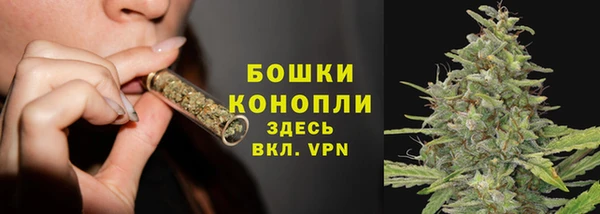 молекула духа Богданович