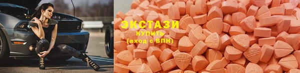 молекула духа Богданович