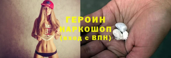 молекула духа Богданович