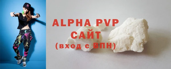 молекула духа Богданович
