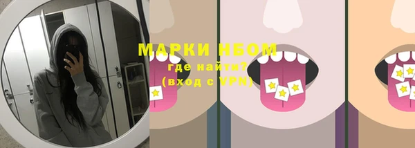 молекула духа Богданович