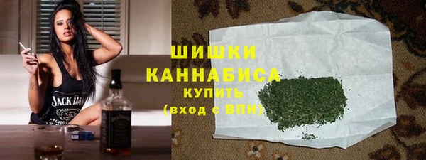 молекула духа Богданович
